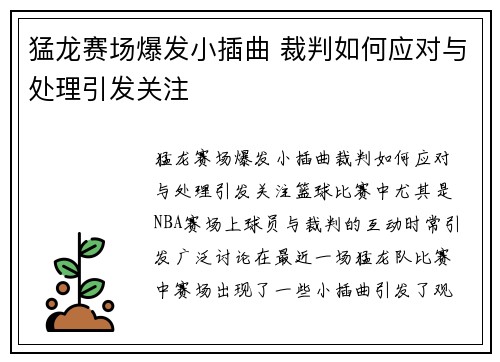 猛龙赛场爆发小插曲 裁判如何应对与处理引发关注